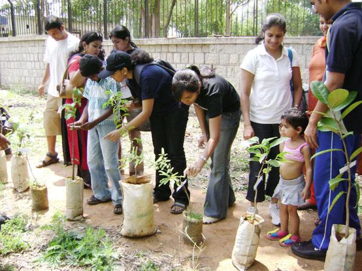 Environmental enthusiasts must check out these 10 out of the ordinary careers